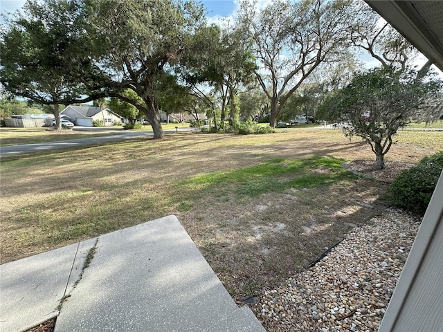 1140 Odoniel Loop S, Lakeland, FL 33809 - view of yard