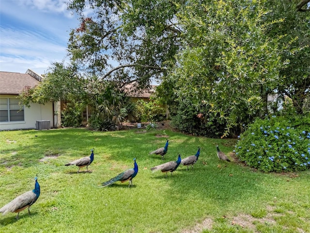 1032 Calanda Ave Unit 1032, Orlando, FL 32807 - photo 22