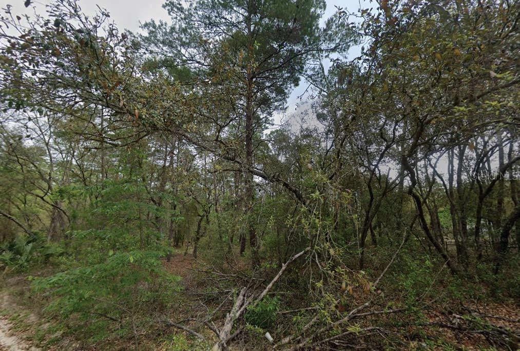 111 N Carolina Dr, Satsuma, FL 32189 - photo 1