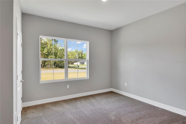 6291 SW 133rd Street Rd, Ocala, FL 34473 - photo 10