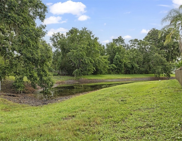 28707 Raleigh Pl, Wesley Chapel, FL 33545 - view of green lawn