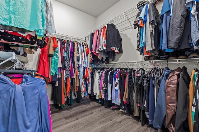 3179 Sailing Pier Ave, Winter Garden, FL 34787 - walk in closet featuring wood finished floors