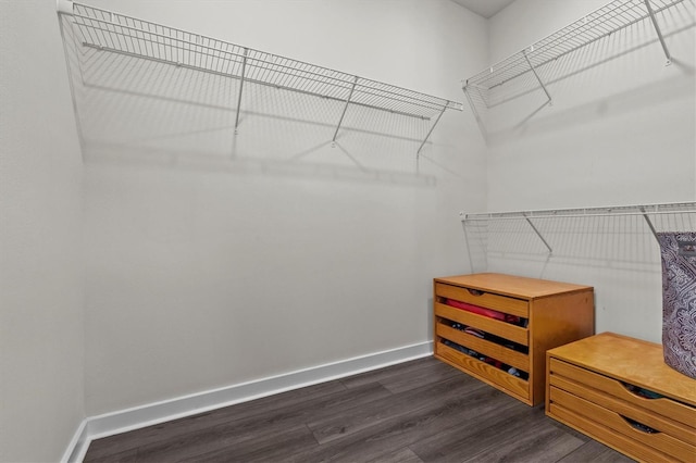 3179 Sailing Pier Ave, Winter Garden, FL 34787 - spacious closet featuring dark wood-style flooring