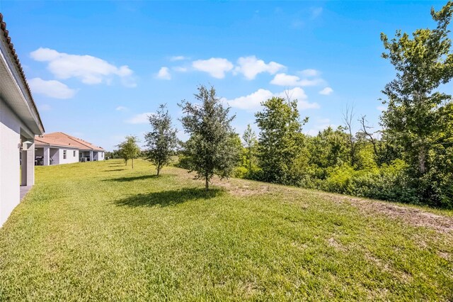 1111 Oak Bluff Dr, Davenport, FL 33837 - photo 3