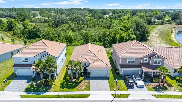 1111 Oak Bluff Dr, Davenport, FL 33837 - photo 4