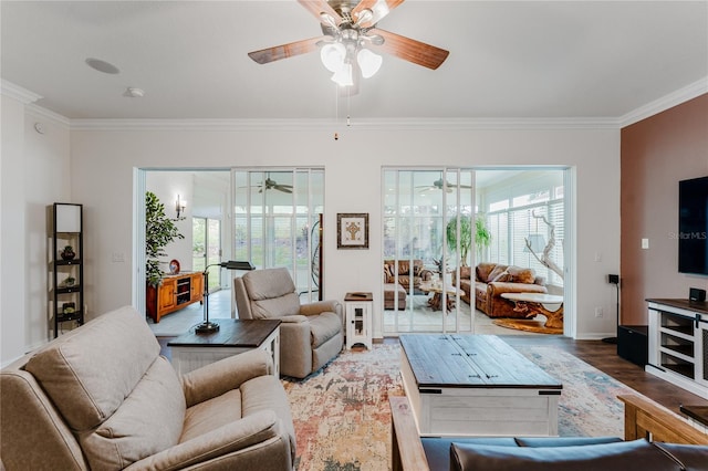 2173 Caledonian St, Clermont, FL 34711 - living area featuring a ceiling fan, ornamental molding, and wood finished floors