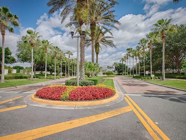 2173 Caledonian St, Clermont, FL 34711 - view of asphalt road with street lighting and curbs