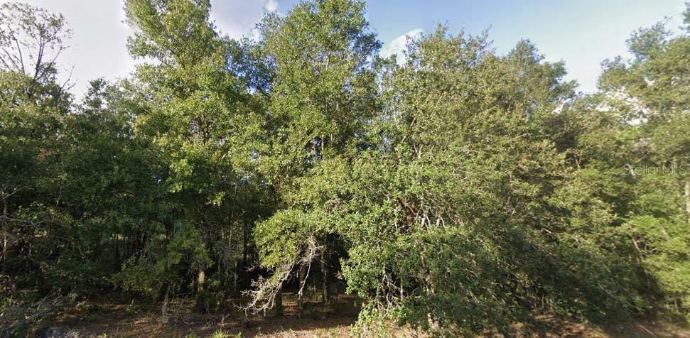 262 Cypress St, Interlachen, FL 32148