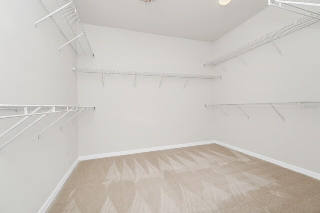 5552 Remsen Cay Ln, Windermere, FL 34786 - walk in closet with carpet floors