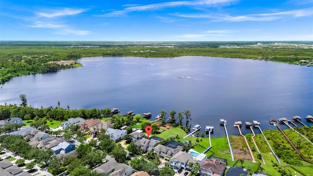 5552 Remsen Cay Ln, Windermere, FL 34786 - aerial view of residential area with a large body of water