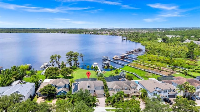 5552 Remsen Cay Ln, Windermere, FL 34786 - aerial view of residential area with a nearby body of water