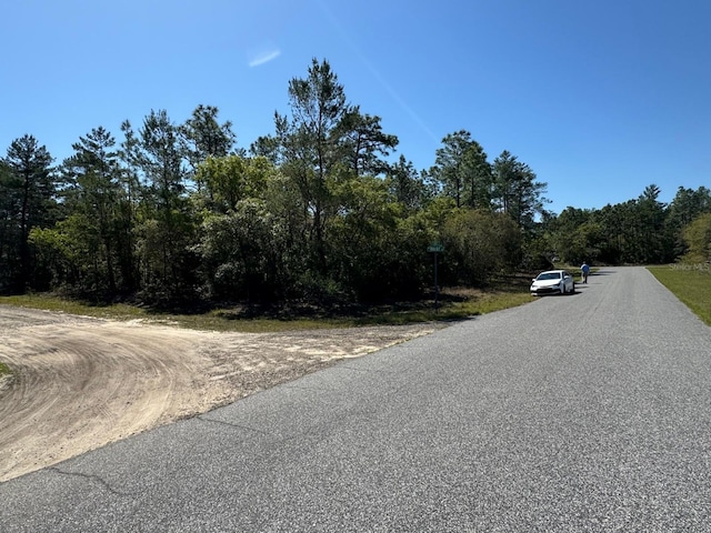 3861 W Malby Ln, Dunnellon, FL 34433 - photo 4