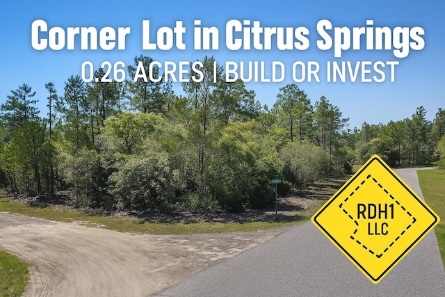 3861 W Malby Ln, Dunnellon, FL 34433 - photo 6