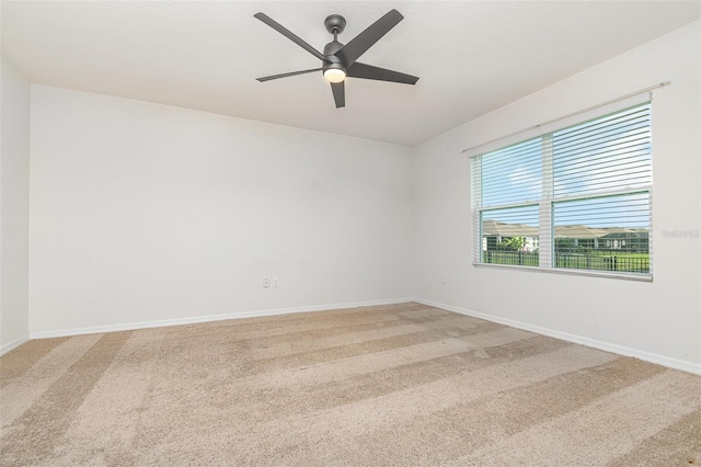 3110 Areca Ave, New Smyrna Beach, FL 32168 - photo 12