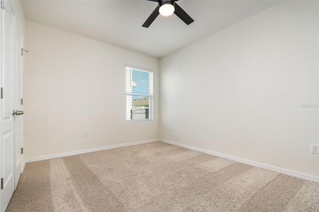 3110 Areca Ave, New Smyrna Beach, FL 32168 - photo 15