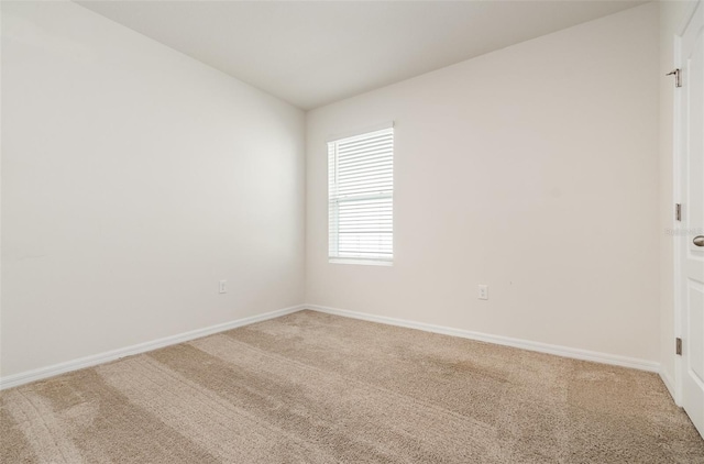 3110 Areca Ave, New Smyrna Beach, FL 32168 - photo 16