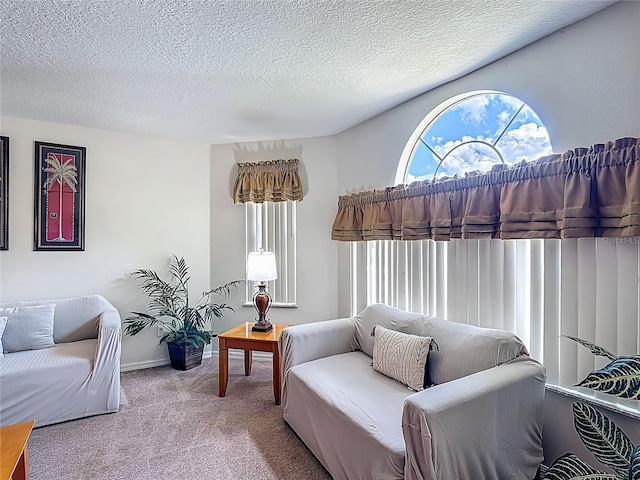8722 Rockingham Ter Unit B, Kissimmee, FL 34747 - living room featuring carpet flooring and a textured ceiling