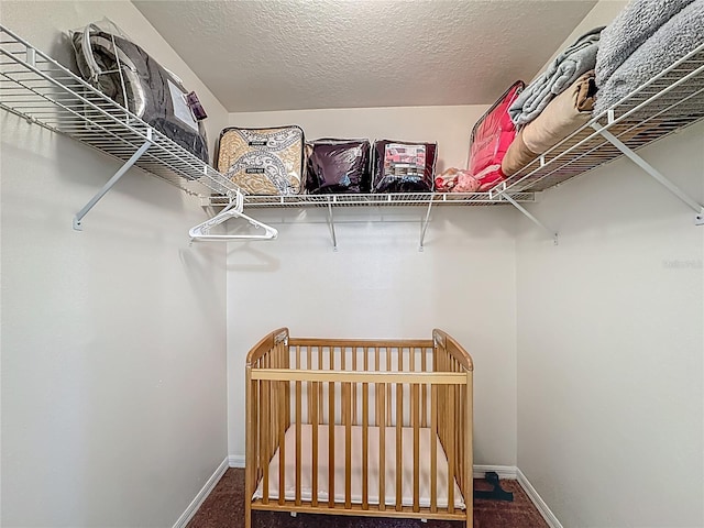 8722 Rockingham Ter Unit B, Kissimmee, FL 34747 - spacious closet with carpet