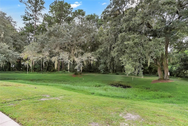 698 Roaring Dr Unit 382, Altamonte Springs, FL 32714 - view of green lawn