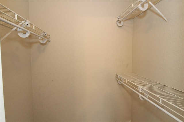 1019 S Hiawassee Rd Unit 3811, Orlando, FL 32835 - view of walk in closet
