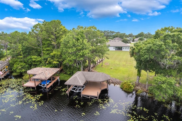 3531 Oriskany Dr, Orlando, FL 32820 - dock with boat lift, a water view, a yard, and view of scattered trees