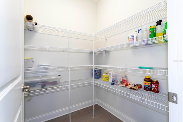10427 Royal Cypress Way, Orlando, FL 32836 - view of pantry