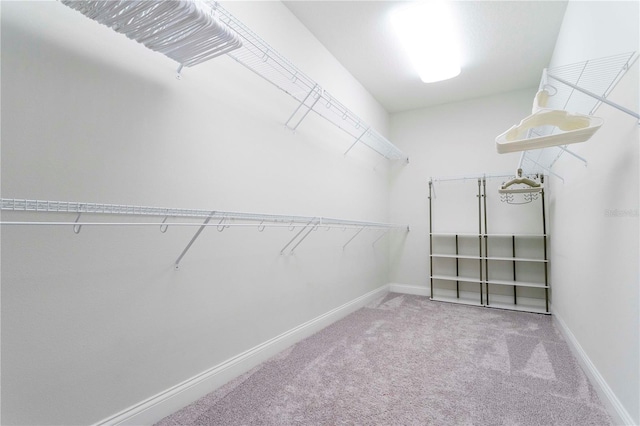 10427 Royal Cypress Way, Orlando, FL 32836 - spacious closet featuring carpet flooring