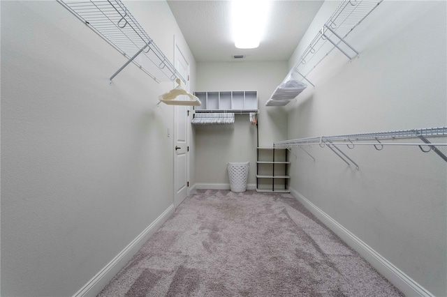 10427 Royal Cypress Way, Orlando, FL 32836 - spacious closet with carpet floors