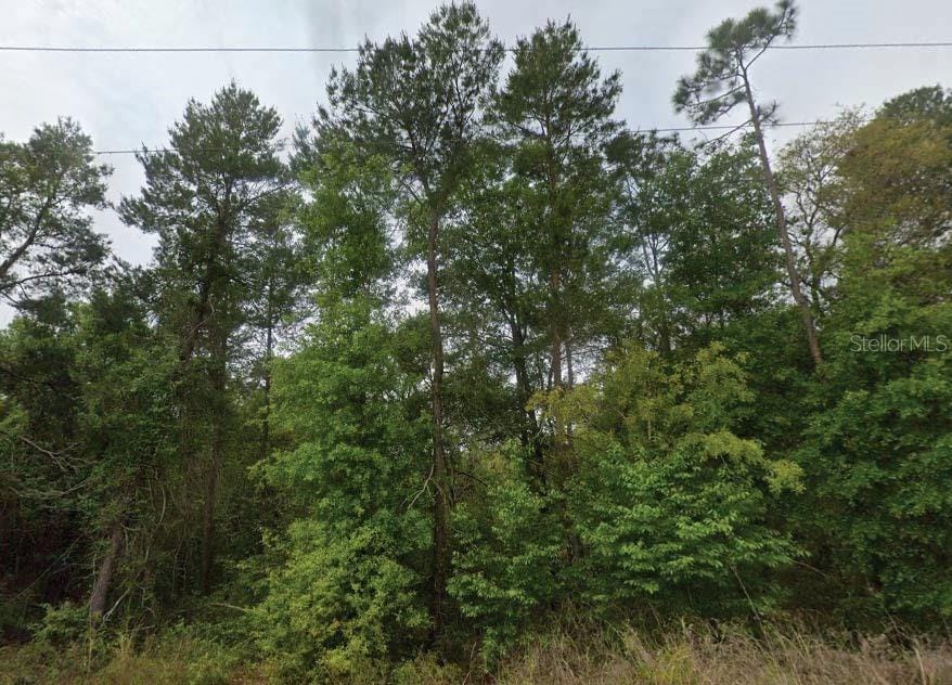 323 Ridge Rd, Satsuma, FL 32189 - photo 1