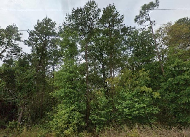 323 Ridge Rd, Satsuma, FL 32189 - photo 1