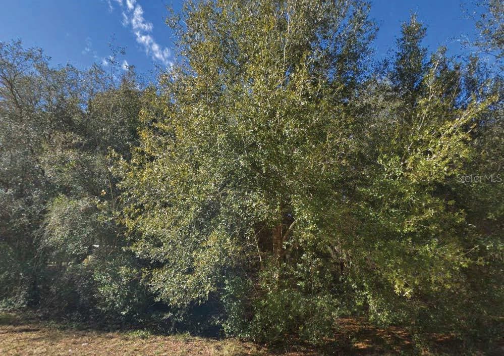 Maltas Ave, Interlachen, FL 32148