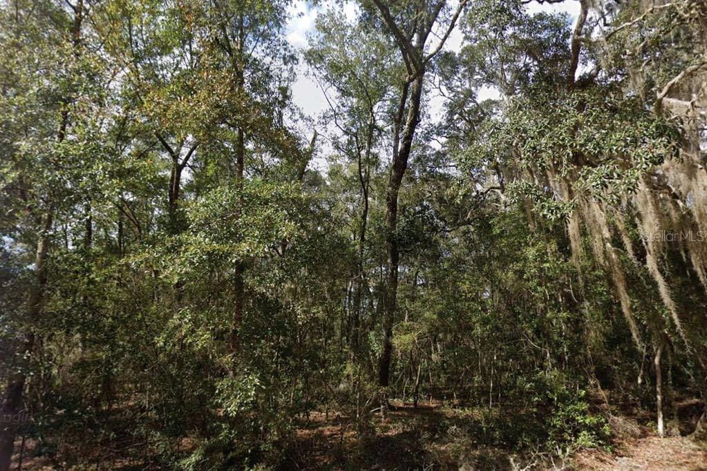 Walker Dr, Interlachen, FL 32148