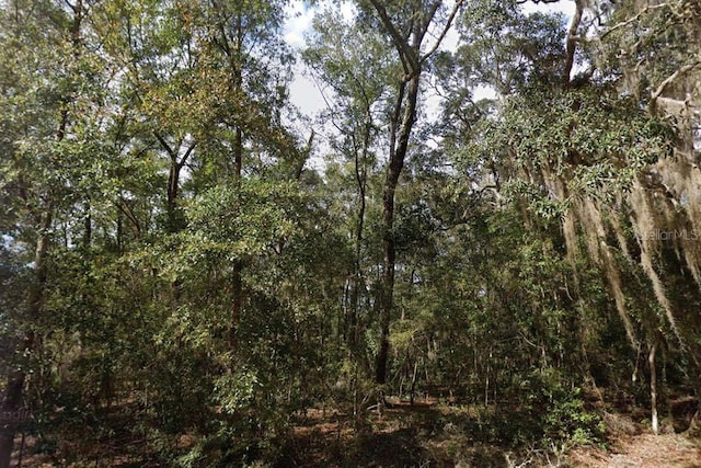 Walker Dr, Interlachen, FL 32148