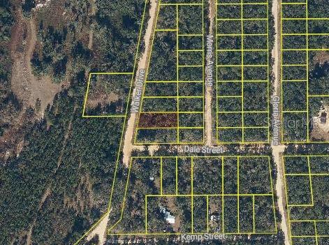 Walker Dr, Interlachen, FL 32148