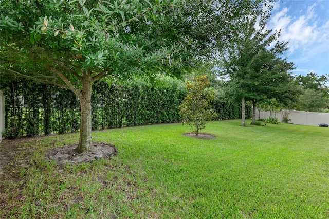2829 Red Alder Blvd, Ocoee, FL 34761 - photo 4