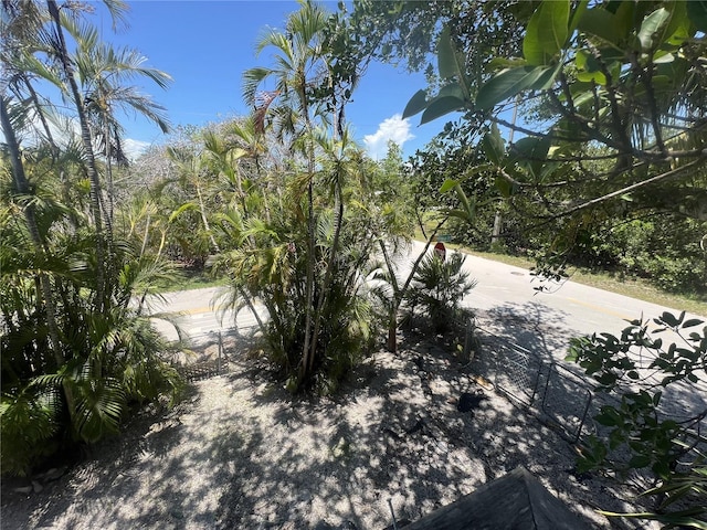 3767 Hibiscus St, Big Pine Key, FL 33043 - view of yard
