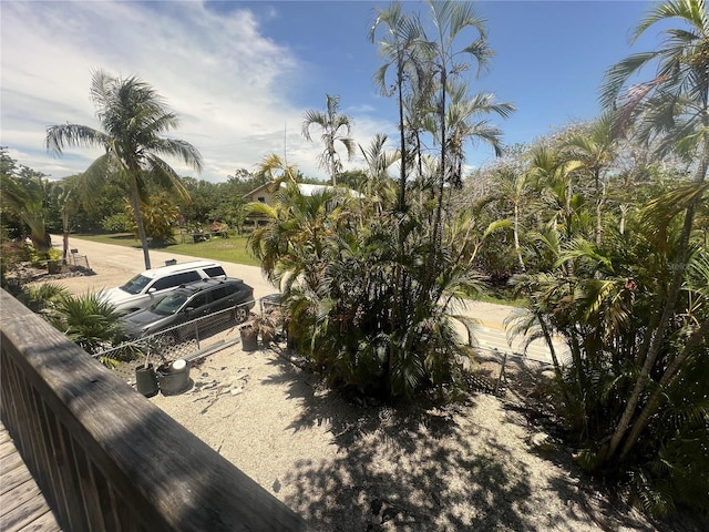 3767 Hibiscus St, Big Pine Key, FL 33043 - view of yard