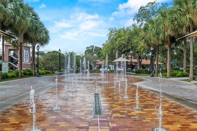 213 W Tilden St, Winter Garden, FL 34787 - surrounding community