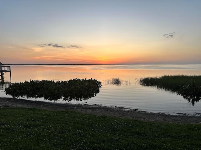 213 W Tilden St, Winter Garden, FL 34787 - water view