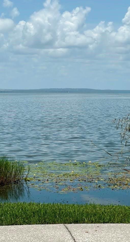 213 W Tilden St, Winter Garden, FL 34787 - water view