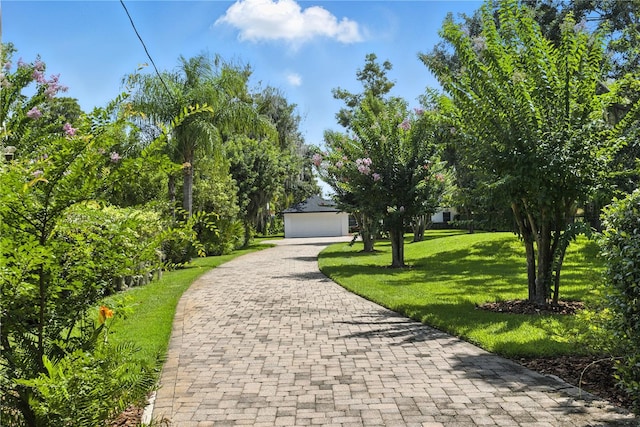 10209 Trout Rd, Orlando, FL 32836 - photo 41