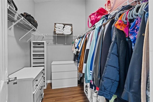 2980 Cool Breeze Cir, Saint Cloud, FL 34769 - walk in closet with dark wood-style flooring