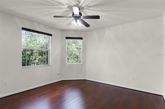 8113 Key W Dove St, Winter Garden, FL 34787 - photo 26