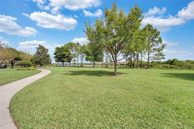8113 Key W Dove St, Winter Garden, FL 34787 - photo 62