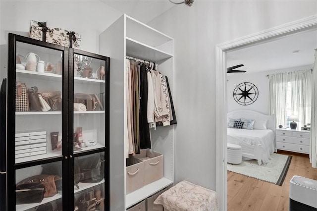 215 Foxglove Way, Deland, FL 32724 - walk in closet with wood finished floors