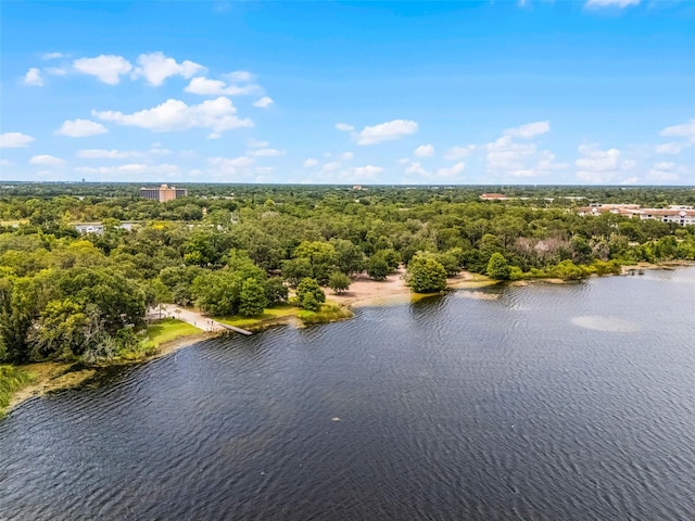 4562 Lower Park Rd, Orlando, FL 32814 - photo 56