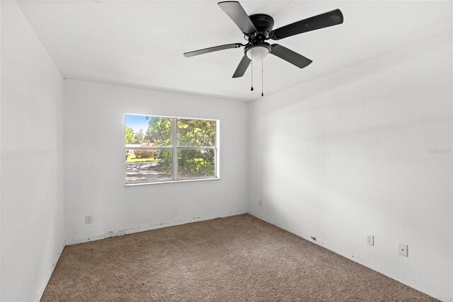 3115 Ave U NW, Winter Haven, FL 33881 - photo 11