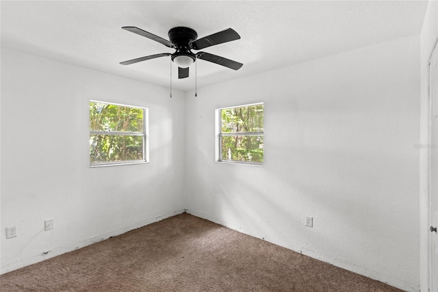 3115 Ave U NW, Winter Haven, FL 33881 - photo 13