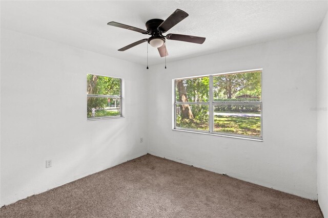 3115 Ave U NW, Winter Haven, FL 33881 - photo 15
