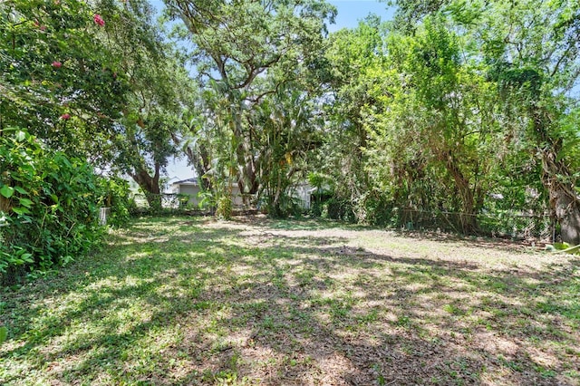 3115 Ave U NW, Winter Haven, FL 33881 - photo 20